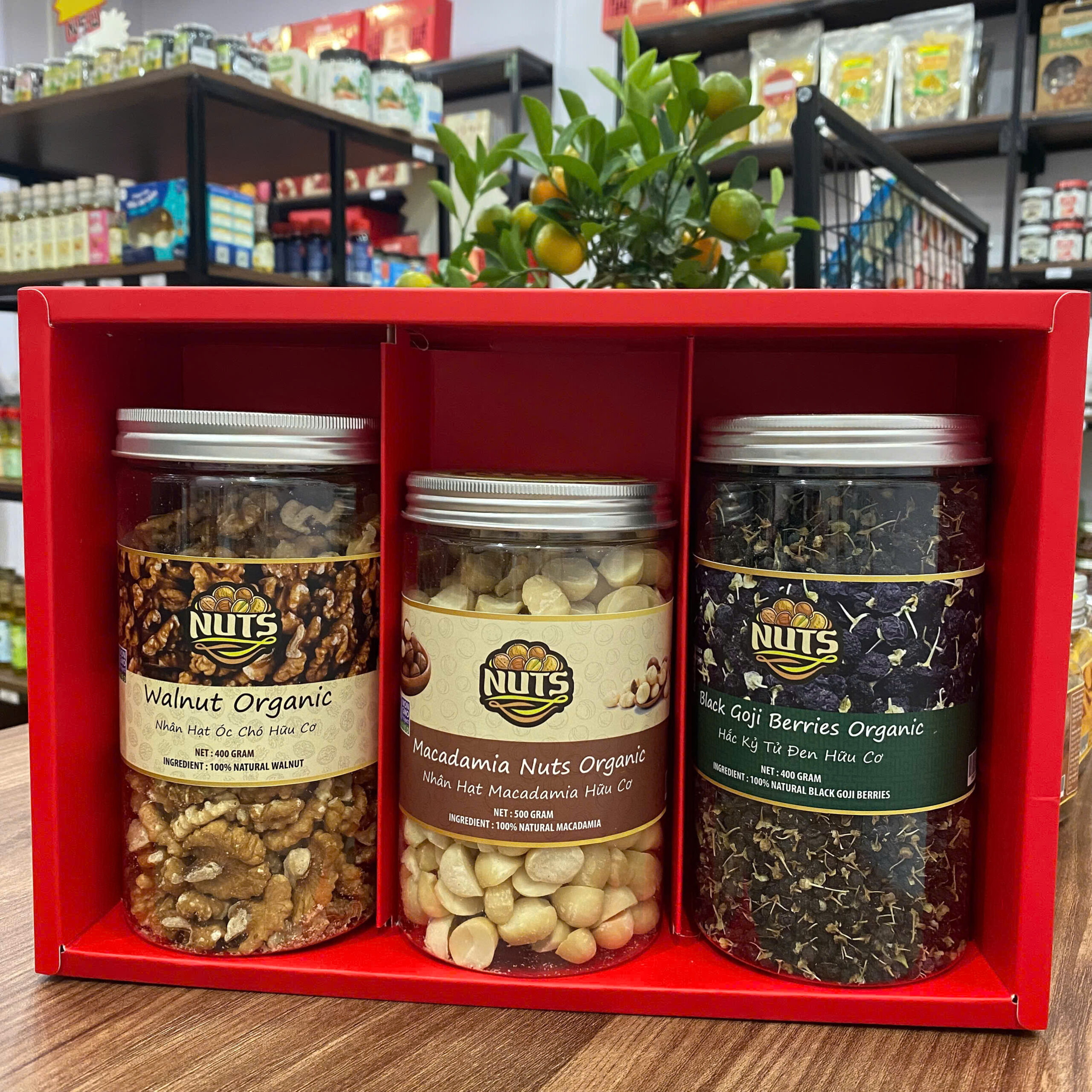 2cecca0b82630c3d557220